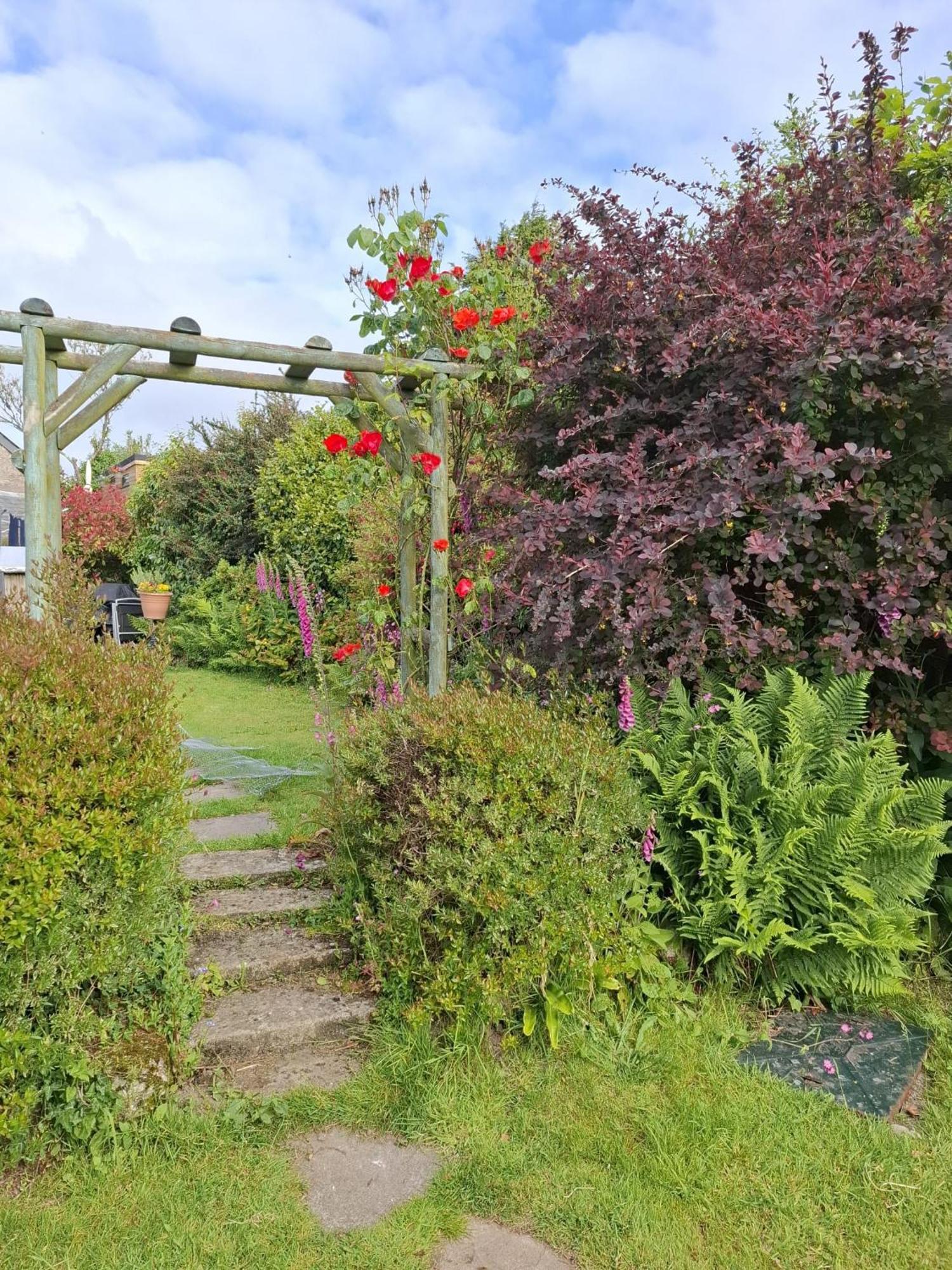 Cosy Cornish Cabin St Austell Exterior foto