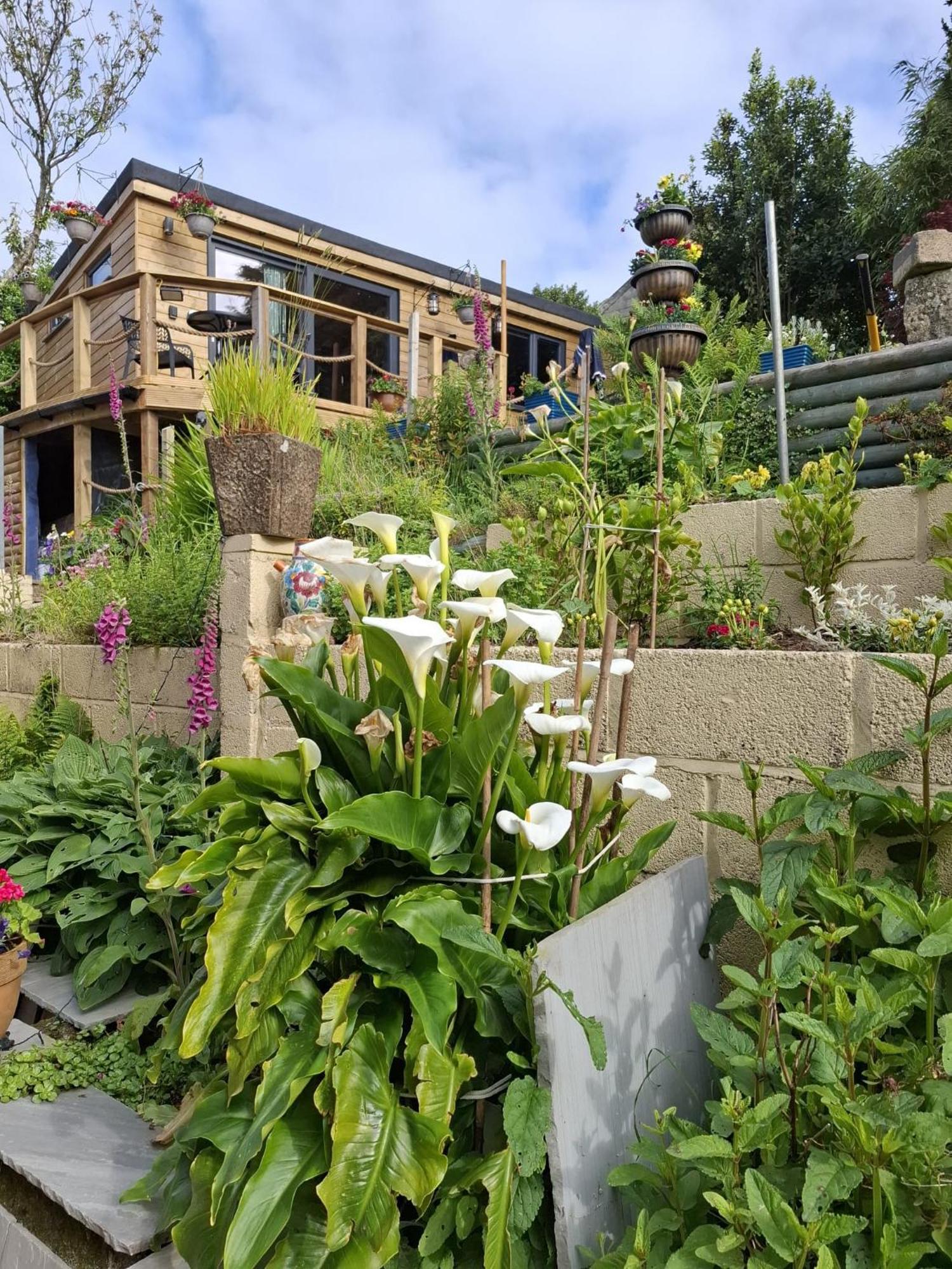 Cosy Cornish Cabin St Austell Exterior foto