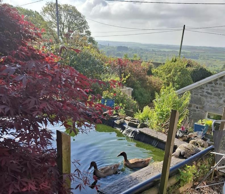 Cosy Cornish Cabin St Austell Exterior foto