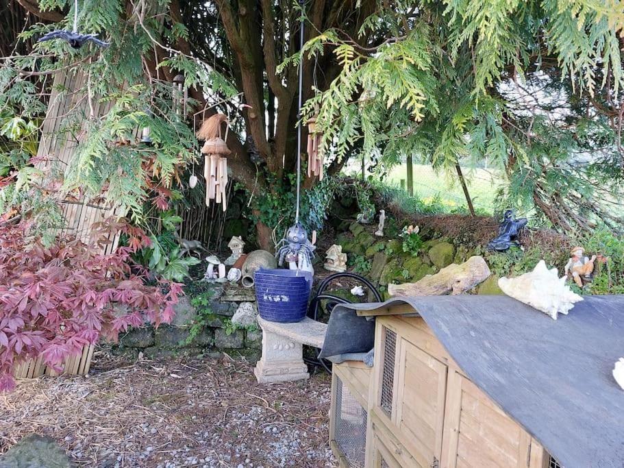 Cosy Cornish Cabin St Austell Exterior foto