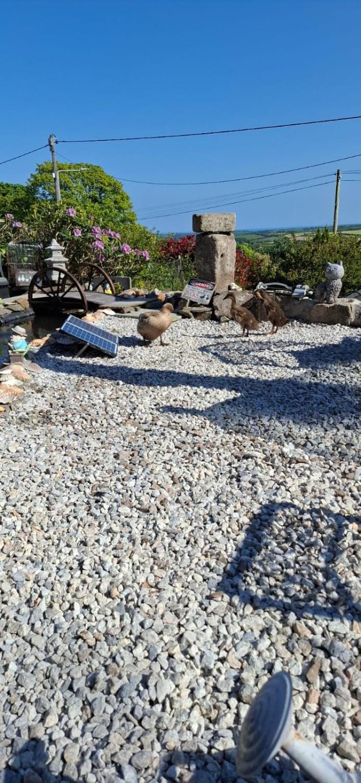 Cosy Cornish Cabin St Austell Exterior foto